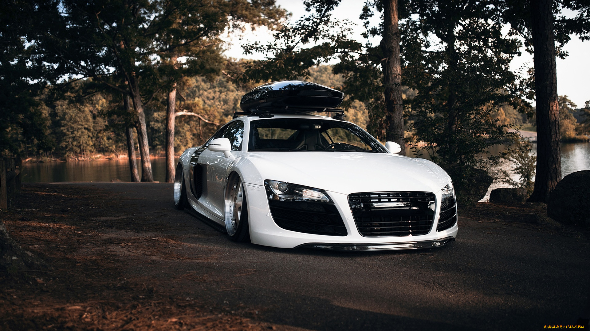 , audi, r8